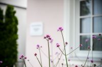 Praxis-Steininger_5232